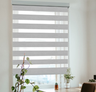 Zebra Blinds